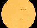 None of these sunspots pose a threat threat for strong flares. Their magnetic fields are stable and quiet. [Photo courtesy of NASA SDO/HMI]